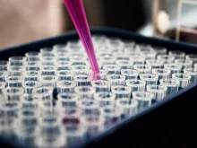 How to Cycle a New Filter Without Killing Fish