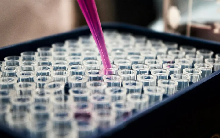How to Cycle a New Filter Without Killing Fish