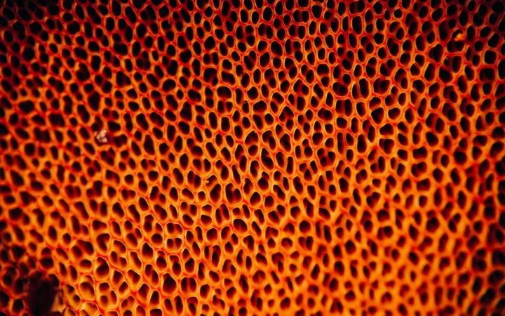 Sponge Filters: When They Beat Everything Else