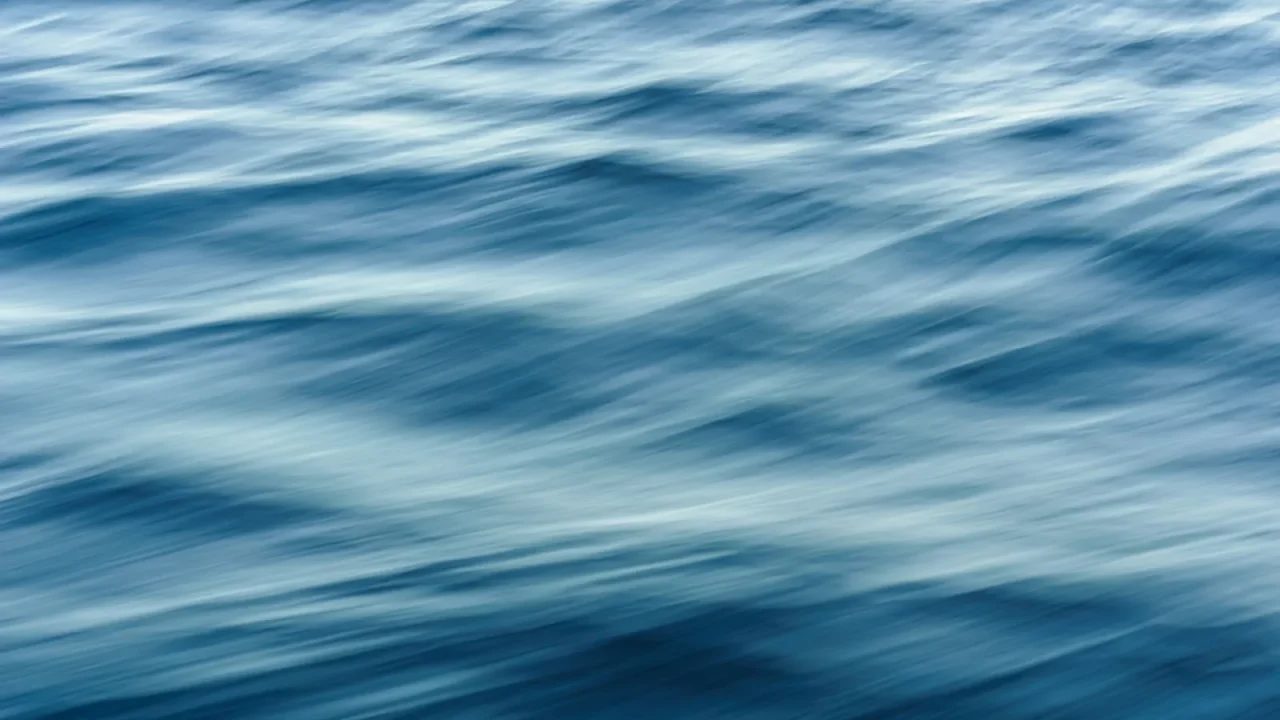Wavemakers: Worth It in a Freshwater Tank