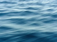 Wavemakers: Worth It in a Freshwater Tank