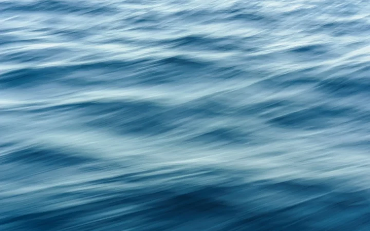 Wavemakers: Worth It in a Freshwater Tank